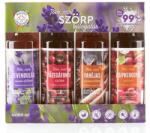 Bálint csemegék Levendulás válogatás Bálint szörp (4 x 100 ml)