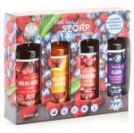 Bálint csemegék Flavonoid válogatás Bálint szörp (4 x 100 ml)