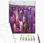 Alkotásutca Levendulák - Számfestő készlet kereten 40x50