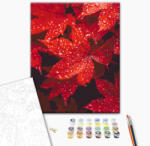 Alkotásutca Ősz a vízcseppekben - Számfestő készlet kereten 40x50