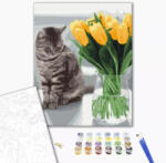 Alkotásutca Cica tulipánokkal - Számfestő készlet kereten 40x50