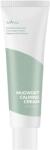 ISNTREE Mugwort Calming Cream - Crema de fata calmanta 50ml