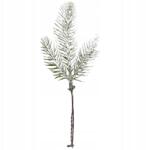  Lucfenyő Ág havas 1db koszorú nád (YC26-01)