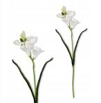 Inspiruj Pianhabsz Fézia Virágok Fézia Ágak Művirágok Vázába 59cm (HD00686)