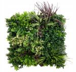 Inspiruj Zöld fal Növény panel Wine Garden A Függőleges kertek Uv Sövény (HD00663)