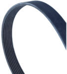 Continental Ctam Curea transmisie cu caneluri CONTINENTAL CTAM 7PK1325 - piesar