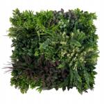 Inspiruj Zöld fal Növény panel Wine Garden B Vertikális kertek Uv Sövény (HD00664)