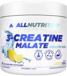 ALLNUTRITION 3 - Kreatin Malát Muscle Max 250 g