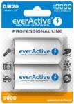 everActive Rechargeable Batteries everActive R20/D Ni-MH 10000 mAh ready to use (EVHRL20-10000) Baterie reincarcabila