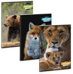 Ars Una sima füzet A4 - Máté Bence Spirit of Nature (53804228)