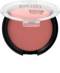 Quiz Cosmetics Blush compact QUIZ Color Focus 12g