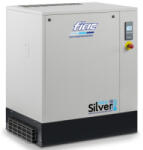 FIAC NEW SILVER 10/10