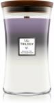 WoodWick Amethyst Sky 609,5 g