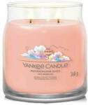 Yankee Candle Watercolour Skies 368 g