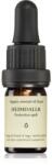 Smells Like Spells Essential Oil Blend Heimdallr esszenciális olaj (Protection spell) 5 ml