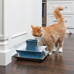 PetSafe Pagoda itatókút kutyák és macskák számára- kék 2L