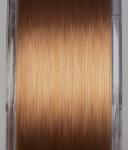 Prologic DENSITY MONO CARP 1000M 0.37MM Natural BROWN