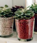  Brockytony 0, 8L 8-16 mm piros