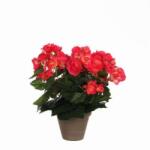 Mica Begónia sötét rózsaszín műnövény cserépben Stan szürke 30 x 25 cm