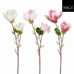 Magnolia művirág több változatban