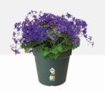 elho Green Basics Growpot 15 cm Leaf Green műanyag kaspó