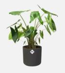 elho B. For Soft Round 22 Anthracite