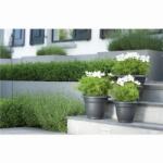 elho Green Basics Campana 40 Lime Green