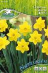 Pegasus Narcissus California nagykoronájú nárcisz virághagymák