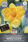Sperli Premium Spleißkronige Narzisse Blazing Starlet hasadt koronájú nárcisz virághagyma
