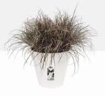 elho Loft Urban Round 20 White