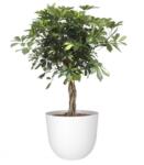 Artevasi Havana Natural 70 cm műanyag növénytartó White Granite