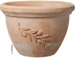 Deroma Ciotola Olive 30 Terracotta agyag növénytartó