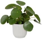 elho Vibes Fold Round 18 Silky White