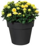 elho Green Basics Top Planter 30 Living B