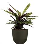 Artevasi Havana Natural 50 cm műanyag növénytartó Moss Green