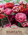 Sperli Maxi Tulpen Rosentulpen-Mischung kései teltvirágú tulipán virághagyma mix