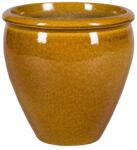 NDT Shanghai 11-01T 40/H40