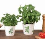 Scheurich 807/16 Green Grow kerámia kaspó 16 cm