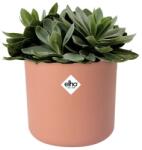 elho B. For Soft Round 14 Delicate Pink