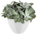 elho Brussels Diamond Oval High 36 White