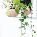 elho B. For Soft Air Nude felakasztható műanyag kaspó