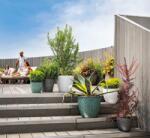 Deroma Vaso Opus Mix 36 cm agyag növénytartó