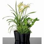 Scheurich 445/25 Trilogy Anthrazit műanyag kaspó 25 cm