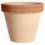 Degrea Vaso Graffiato 43