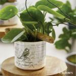 Soendgen Keramik Vintage Animals Mesange 8