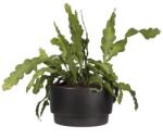 elho Pure Grade Bowl 47 Black