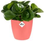 elho Brussels Round Mini 7 Coral Pink