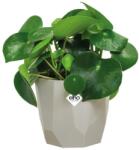 elho B. For Rock 18 Warm Grey