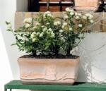 Deroma Cassetta Fiora Terracotta 39 cm agyag növénytartó