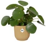 elho Vibes Fold Round 18 Butter Yellow